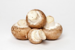 kostenlose-Bilder für-Ihre-Webseite-Champingnons-Pilze