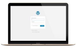 Einfache Verwaltung durch Content Management Systeme