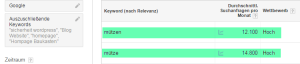 google Adwords keyword planer