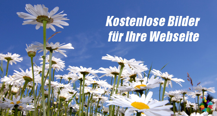 Kostenlose Bilder für Ihre Webseite