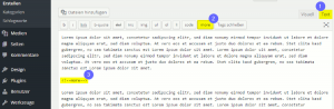 Der More-Tag von WordPress