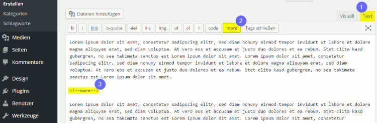Der More-Tag von WordPress