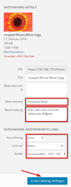 Bildbeschreibung-Wordpress