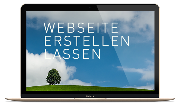 Webseite erstellen lassen